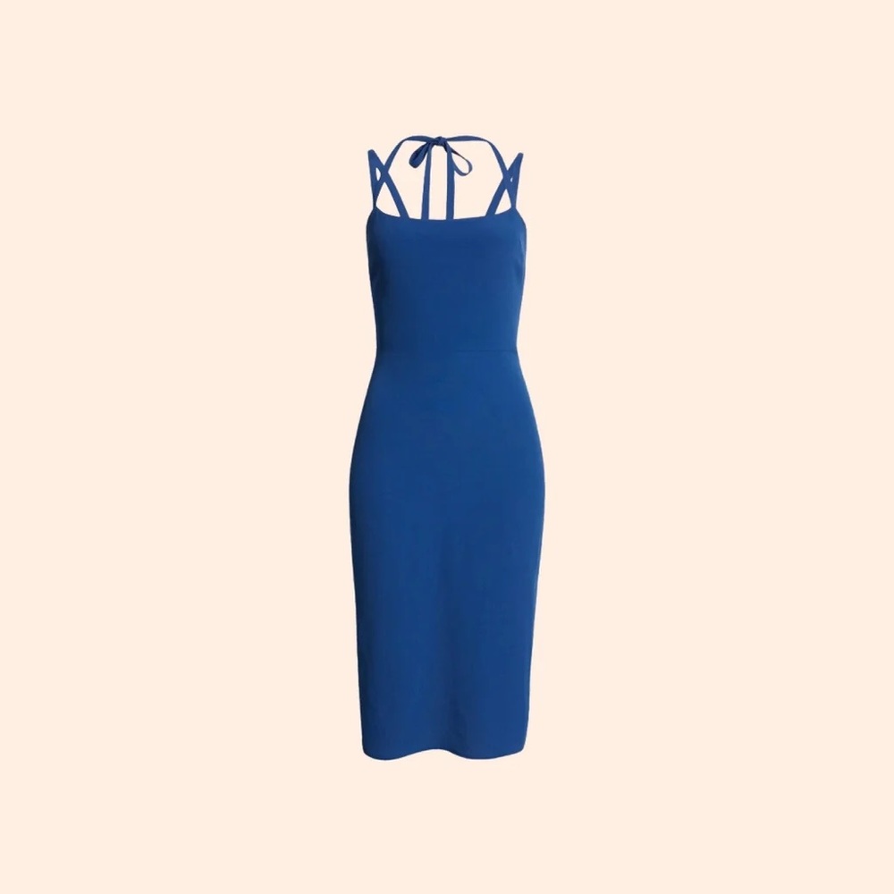 Blue Skyla Reformation dress